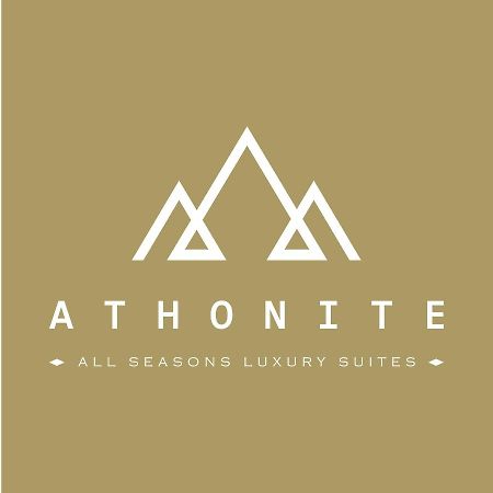 Athonite All Seasons Luxury Suites Иериссос Экстерьер фото
